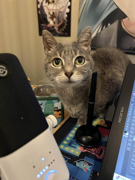 izzy